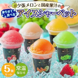 敬老の日 ギフト 夏ギフト ゼリー アイス シャーベット  ギフト アイス シャーベット 【夕張メロンと国産果汁の凍らせて食べる.アイスシャーベット.】 5個セット スイーツ メロン フルーツ 果物 ソルベ アイスギフト 詰め合わせ 送料無料 常温保存 お取り寄せスイーツ 夏 母の日 父の日 御中元 敬老の日 御歳暮 誕生日 内祝い お返し 【ja】 【ja1】
