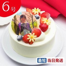 写真ケーキ 苺のプレミアムショートケーキ 6号 18cm