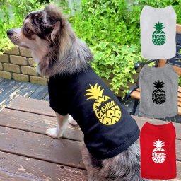 パイナップル ドッグ用Tシャツ XXL-3XLサイズ ペット 犬服 犬の服 名入れ 名前入り 名入り 名前入り 半袖 春 夏 Tシャツ おしゃれ かわいい 犬 飼い主 服 好き プレゼント 誕生日 小型犬 中型犬 チワワ トイプードル ポメラニアン マルチーズ マルプー