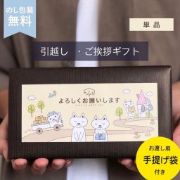 引っ越し 御挨拶 粗品 ライオン　キッチンセット　【単品１個】　袋付き　引っ越し挨拶　近所回り　洗剤 工事