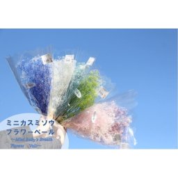 大地農園！2g プリザーブドフラワー ミニカスミソウ フラワーベール【白/ブラウン】花材  プリザ アレンジ 資材 敬老の日 プリザ かすみ草 カスミソウ　グラデーション