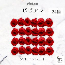 大地農園！プリザーブドフラワー 「ビビアン クイーンレッド 24輪(1箱)」  プリザ 花材 ハーバリウム  おしゃれ かわいい プレゼント 贈り物 オオチノウエン バラ 薔薇 ローズ rose