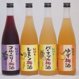 果物梅酒セット レモン×パイナップル×ゆず×ブルーベリー 中野BC(和歌山県)720ml×4本