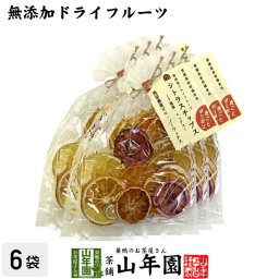 【無添加ドライフルーツ】シトラスチップス 50g×6袋セット 愛媛県産の7種類の柑橘を使用 健康食品 内祝い 贈り物 お土産 ギフト 食物繊維 男性 女性 プチギフト お茶 敬老の日 2026 プレゼント 通販