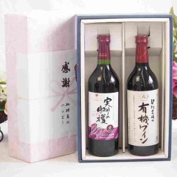 実りの秋の贈り物 感謝の贈り物ボックス 国産やや甘口赤ワインと酸化防止剤無添加ワインセット(酸化防止剤無添加 契約農場の有機赤ワイン やや甘口(長野県)720mlヴィンテージ実りの収穫 赤ワイン720ml