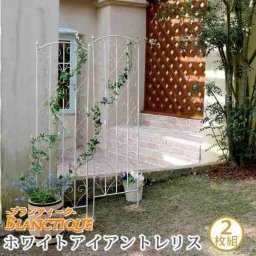 アイアンフェンス トレリス ラティス 2枚セット 高さ147cm ホワイト 白 アンティーク シャビー フレンチ ヨーロピアン 園芸 庭 ベランダ バルコニー ガーデニング 柵 つる バラ 薔薇 蔦 誘引 屋外 おしゃれ
