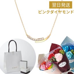 Silver925 カーブツーラインネックレス