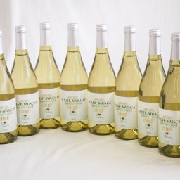 10本セット(シャインマスカット100ワインやや甘口(山梨県)) 750ml×10本