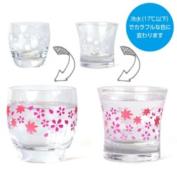 【ギフト対応無料】冷感酒器春秋冷酒ペア (AM-SYO-6) ※送料無料(北海道・沖縄は除く)