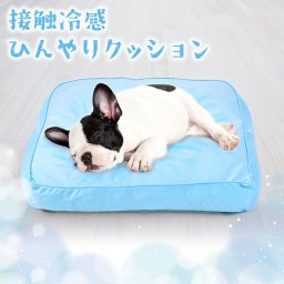 【触れるだけでひんやり♪夏の快適クッション】ペット 冷感クッション ひんやり ペットクッション ペット用 冷たい 涼しい 接触冷感 60×50cm 大きめ 小型犬 中型犬 犬 イヌ 夏用ベッド