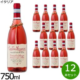 チェラスオーロ ダブルッツォ イタリア産 辛口 ロゼワイン イタリアワイン ロゼ イタリア 金賞 750ml×12本
