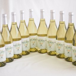 12本セット(シャインマスカット100ワインやや甘口(山梨県)) 750ml×12本
