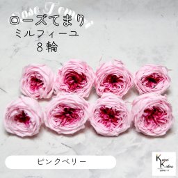 大地農園！プリザーブドフラワー 「ローズ・てまり・ミルフィーユ ピンクベリー 8輪」 プリザ 花材 ハーバリウム おしゃれ かわいい プレゼント 贈り物　オオチノウエン バラ 薔薇 ローズ rose