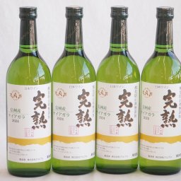 4本セット(信州産完熟ナイアガラやや甘口白ワイン) 720ml×4本