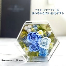 プリザーブドフラワー 青い花 誕生日プレゼント 結婚祝い 出産祝い 敬老の日 開店祝い 送別 退職 長寿祝い ホワイトデー 20代 30代 40代 50代 60代 おしゃれ 女性 男性