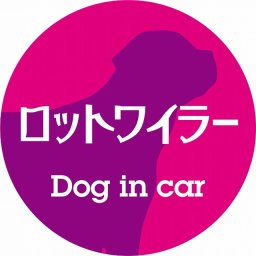 Dog in car ドッグインカー ステッカー カーステッカー ロットワイラー レトロ書体 ピンクパープル シール 煽り運転対策 カーサイン