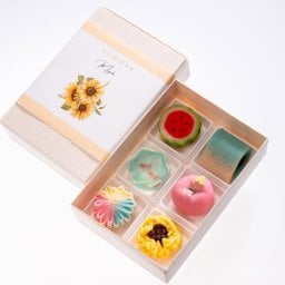 【京銘菓 雅】生菓子6個入 /summer/練り切り/茶菓子/プレゼント/誕生日/御祝/和菓子/可愛い和菓子/アニマル和菓子／夏の和菓子/冠婚葬祭/お中元/暑中見舞い