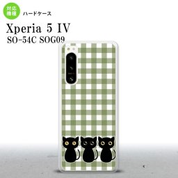 Xperia 5 IV Xperia5 IV スマホケース 背面ケース ハードケース 猫 イラスト 緑 2022年 10月発売 nk-xp54-1141