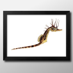 海洋生物 ビンテージイラスト A3 サイズ ポスター アート おしゃれ 絵画 インテリア 北欧 イラスト マット紙 艶消し アートパネル 額 フレーム デザイン 壁掛け ギフト 新築祝い ディスプレイ 引越し祝い　新生活　空間デザイン 