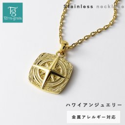 ハワイアンジュエリー ネックレス ステンレス レディース メンズ 男女兼用 星 スター 金属アレルギー対応 サージカルステンレス316L つけっぱなし  あずきチェーン付き ハワイアン ペンダント イエローゴールドカラー テラグラティア Terra-gratia【gpss1609yg】単品