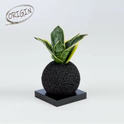  【eco-pochi】エコ・ポチ　ORIGIN　スフィア・ミニ白　サンス・ハニー