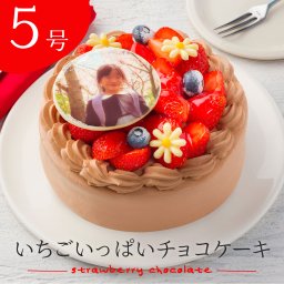 写真ケーキ イチゴいっぱい生チョコショートケーキ 5号 15cm
