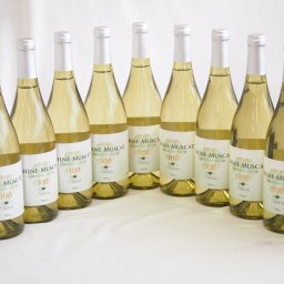 11本セット(シャインマスカット100ワインやや甘口(山梨県)) 750ml×11本