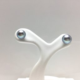 真珠 ピアス パール アコヤ真珠 スタッド 5.5-6.0mm シルバーグレーブルー K14 ホワイトゴールド 66459 イソワパール