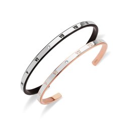 【レーザー刻印対応】FREE STYLE ステンレス 金属アレルギー対応 アレルギーフリー ペアバングル ペアアクセサリー ペア バングル ローマ数字 平打ち プレゼント ギフト FSSTBG018BK-FSSTBG018PG セット シンプル フリースタイル 【送料無料】