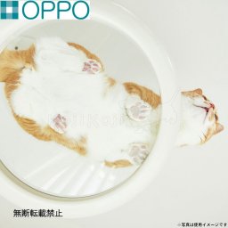 OPPO オッポ キャットフォレスト2用オプション ClearShelf クリアシェルフ ホワイト