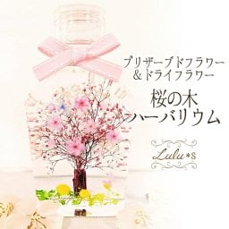 【卒業・入学祝い】 桜 ハーバリウム さくらの木 蝶々舞う 春 ギフト プレゼント 合格祝い 就職祝い 退職祝い 母の日 プリザーブドフラワー 花 桜柄 ボトル インテリア 雑貨