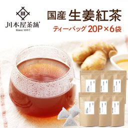 しょうが紅茶 お徳用 120P入り [再入荷]「生姜茶」 ティーパックタイプ 6袋セット(2g×20包) 【送料無料】【国産 健康茶】【通常宅配便】