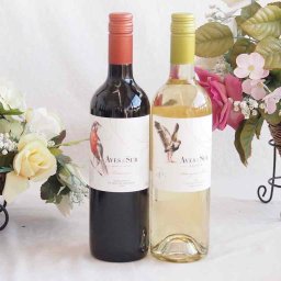 人々に愛されチリ赤白ワイン 2本セット(デル スール ソーヴィニヨン・ブラン白 デル・スール カルメネール赤) 750ml×2本