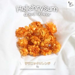 大地農園！ドライフラワー　5ｇ分　「ヘリクリサム　テラコッタオレンジ」プリザ　花材 ハーバリウム おしゃれ かわいい プレゼント 贈り物　オオチノウエン プリザーブドフラワー