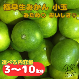 愛媛県産 極早生ミカン 小玉 3kg・5kg・10kg  2S-S みため〇 おいしさ◎ギフト 家庭用 フルーツ 果物 柑橘 【送料無料※北海道・沖縄除く】