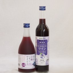 リキュール特集2本セット(信州の巨峰を使ったワインalc.4% グレープ&ブルーベリーワイン) 500ml×2本