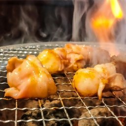 国産大トロホルモン（200g×2）焼肉【送料無料(一部地域除く)】