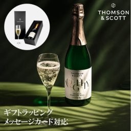 【0.0％ 甘くない 本格 ノンアルコールワイン】 ノンアルコールスパークリングワイン 「トムソンアンドスコット ナウシー」ノンアルコールワイン スパークリングワイン ノンアルコールシャンパン ノンアル ワイン 高級 ノンアルコールスパークリング  プチギフト　お歳暮　出産祝い　記念日　結婚記念日　クリスマス　バレンタインデー　ホワイトデー　ほろよわず