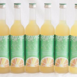 6本セット(さわやかへべすリキュール 14％ 井上酒造(宮崎県)) 500ml×6本