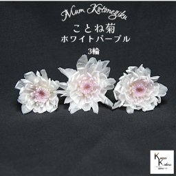 大地農園　「ことね菊 ホワイトパープル 3輪」　プリザーブドフラワー　プリザ　ハーバリウム　小花 ドライフラワー ハーバリウム アロマワックスバー