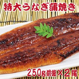特大うなぎ蒲焼き2尾セット (1尾あたり250g前後) 訳あり 特製たれ & 山椒付