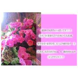 【開店祝い 花】 【オープン 花】フラワーアレンジメント　”ミラノ・３”　店長オススメ！！【胡蝶蘭】特別なお祝い  開店祝い 花・開院 開業祝い お祝い 花 豪華・素敵な贈り物。