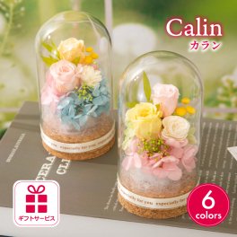 プリザーブドフラワー ギフト ガラスドーム 【カラン】 誕生日プレゼント 母親 女友達 妻 両親 誕生日 メッセージカード サプライズ 誕生日ギフト お祝い 20代 上司 70代 女性 50歳 大学生 記念日 周年記念 結婚記念日 銀婚式 金婚式 退職祝い 送別会 卒業祝い 卒団祝い 出産祝い プチギフト フラワーアレンジメント フラワーギフト 長持ち 母の日 花