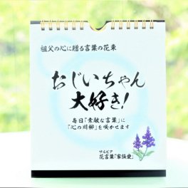 【敬老の日・誕生日】祖父に「言葉の贈り物」を！日めくりカレンダー「おじいちゃん大好き」～「孫心（まごころ）」のこもった楽しい川柳＆言葉遊びの仕掛けで毎日めくりたくなる～