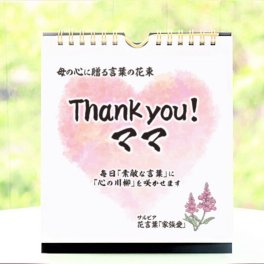 日めくりカレンダー「Thank you!ママ」結婚式・お母さんへ誕生日プレゼント・卒業＆進学のご挨拶にも