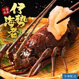 伊勢海老 千葉 千葉県 3尾 1200g 大サイズ 冷凍保存 旬 おすすめ 縁起物 めでたい レシピ エビフライ ビスク 天ぷら 味噌汁 浜焼き 茹で方 蒸し方 剥き方 有名な県 伊勢エビ いせえび lobsterバーベキュー フレンチ ディナー お取り寄せ 贈答用 ギフト 祭り ご当地 送料無料 魚介類【送料無料※一部地域送料あり】