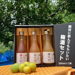 梅酒 おすすめ 人気 プレゼント 飲み比べ セット 天紅 天白 天燈 高級 ランキング 瓶 あらごし 日本酒 三重県 早川酒造部