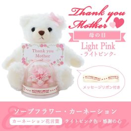 母の日 ギフト カーネーション ソープフラワー ぬいぐるみ付き くま ミニドーム クリアボックス入り アレンジ ギフトラッピング付き メッセージカード付 ｜ ライトピンク 薄ピンク色
