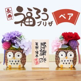 【名入れ】  母の日 父の日 まとめて プリザーブドフラワー プレゼント 花 和風 名入れ ギフト かわいい 枯れない花 カーネーション 両親 夫婦 祖父 祖母 60代 70代 80代 結婚祝い 金婚式 誕生日 還暦祝い 赤 古希 喜寿 紫 傘寿 卒寿 お祝い《 長寿 ふくろう プリザ ペア 》 翌営業日出荷
