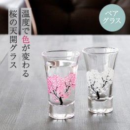 冷感桜 グラス天開ペアセット 丸モ高木陶器 酒器 グラス 冷酒グラス 冷酒 日本酒 ラッピング 無料メッセージカード ペアギフト 結婚祝い ギフト 父の日 2026 プレゼント